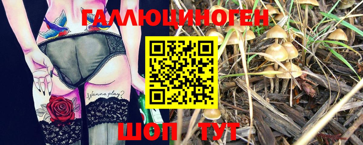 хочу   Псилоцибиновые грибы MAGIC MUSHROOMS  Вход с VPN  Ирбит 